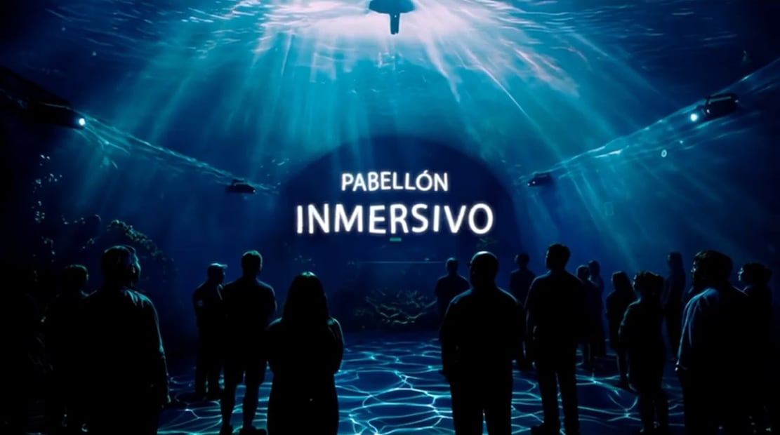 Descubre más del mundo marino en Aquïfera. Foto: Aqüifera