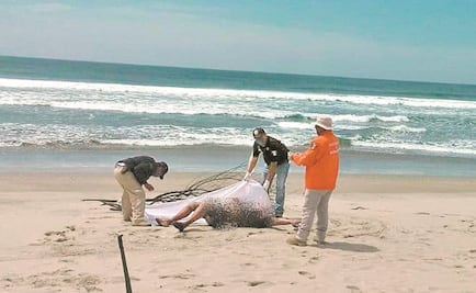 Mueren migrantes en costas mexicanas; reactivan rutas peligrosas en el mar