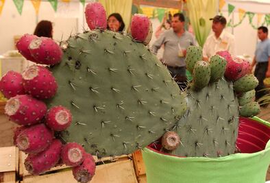 La gastronomía representada en el Escudo Nacional 