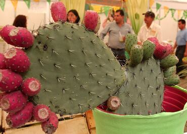 La gastronomía representada en el Escudo Nacional
