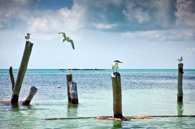 El significado del nombre de Holbox y de otros destinos de México