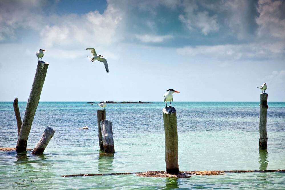 Isla Holbox se encuentra en la Reserva de la Biósfera Yum Balam. Foto: Unsplash