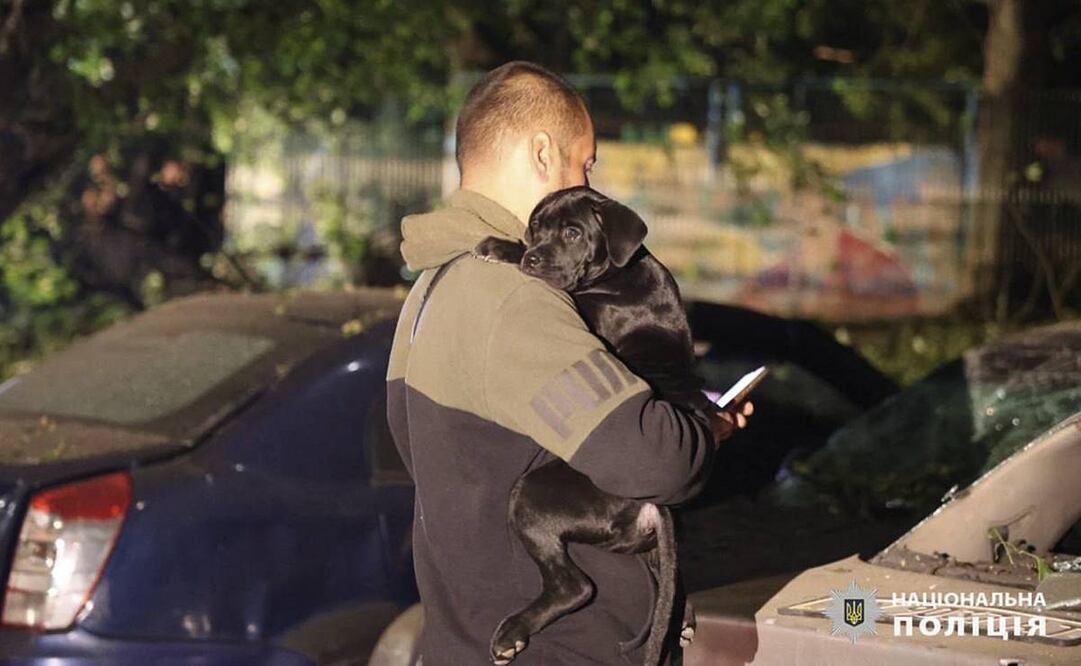 Un hombre sostiene a un cachorro cerca de autos dañados después de un ataque ruso a un edificio residencial en Kharkiv, Ucrania. Foto: AP