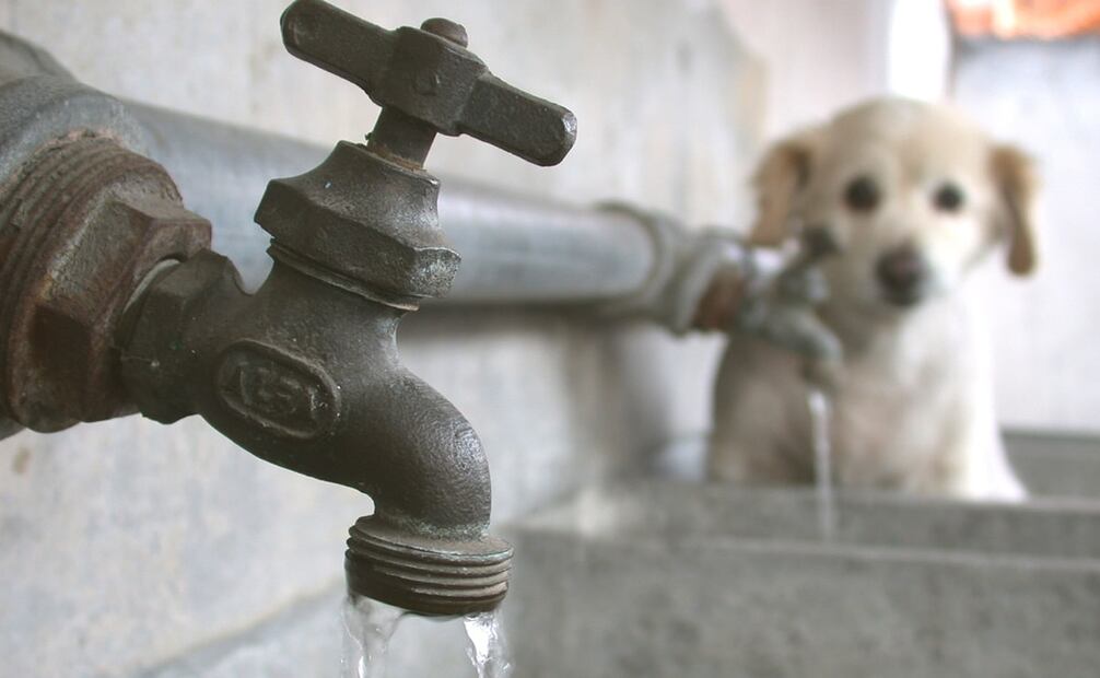 La CDMX recibe 24% menos agua, en comparación con 2019. Foto: ARCHIVO