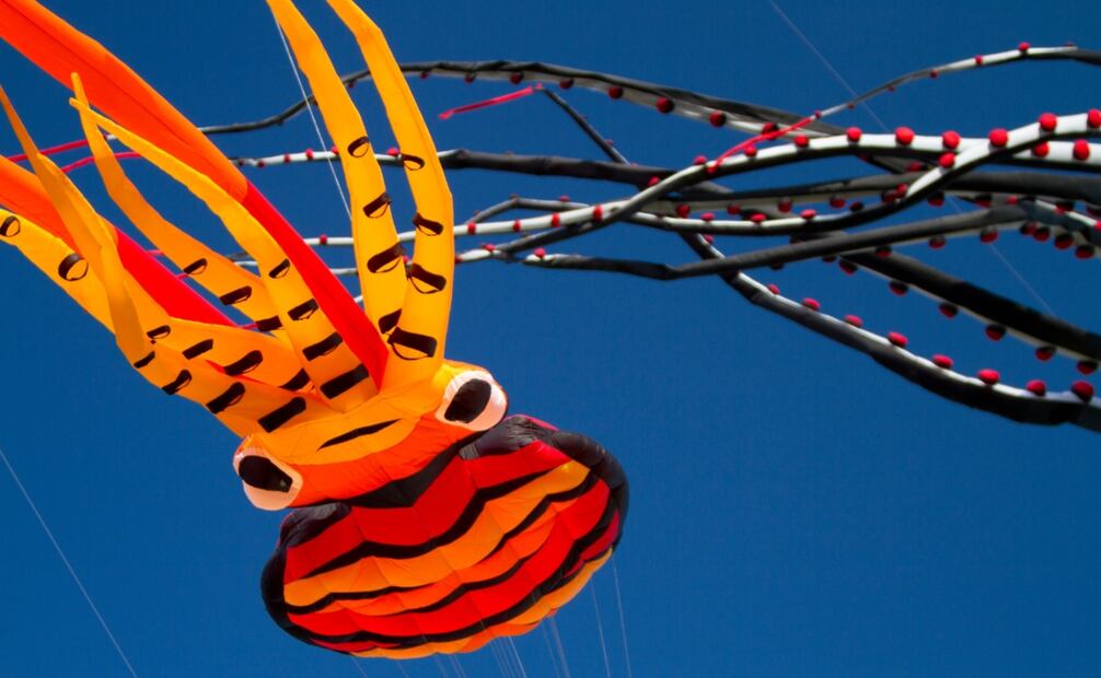 Facebook: Festival del Papalote Teotihuacan