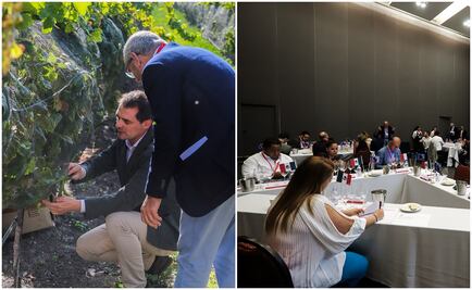 Todo está listo para el México Selection 2019 by Concours Mondial de Bruxelles