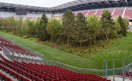 Instalan obra de arte ecologista en estadio de fútbol