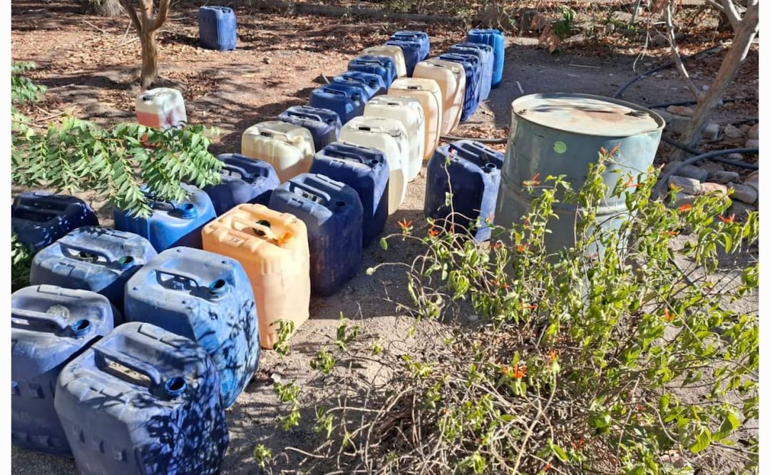 Elementos navales descubren laboratorio clandestino para elaborar drogas en Elota, Sinaloa (19/03/2025). Foto: Oficial