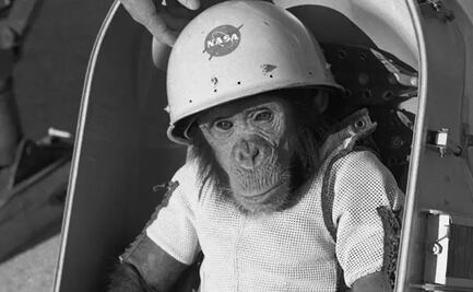 Ham, el primer chimpancé que viajó al espacio hace 60 años