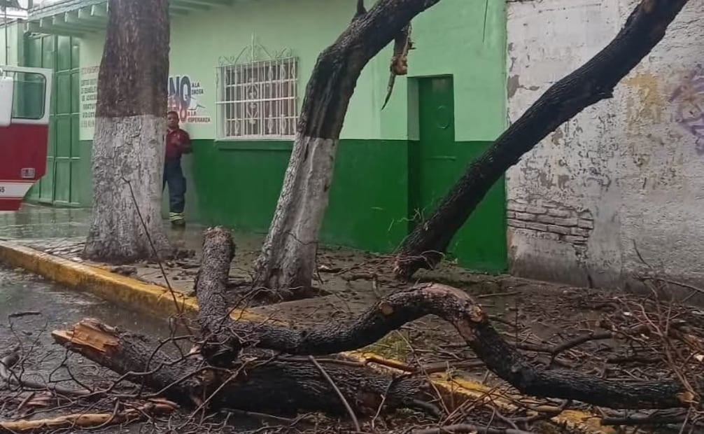 Lluvias en el Edomex provocan encharcamientos en Tlalnepantla; cae granizo en Naucalpan.
Foto: Especial.
