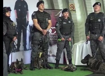 Les dan la pata: Policía de Neza se refuerza con Unidad Canina de 4 perritas