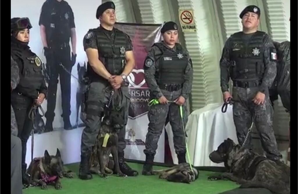 Unidad Canina e Inteligencia K9. FOTO: Especial/ EL UNIVERSAL/
