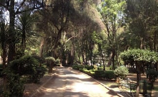 Descartan socavón en Parque Ramón López Velarde de la Roma Sur; aseguran que es una celda de cimentación