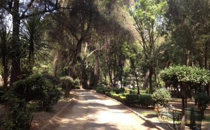 Descartan socavón en Parque Ramón López Velarde de la Roma Sur; aseguran que es una celda de cimentación