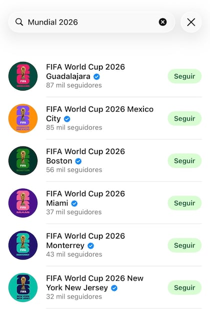 Canales del Mundial en WhatsApp. Foto: Captura de pantalla