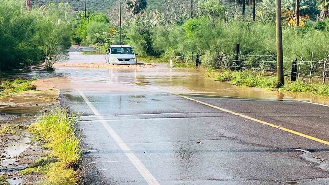 Fotos: Ayuntamiento de Guaymas y Especial