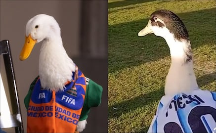 Nace en Argentina "El Pibito", la copia del Pato Merlín con camiseta de Messi