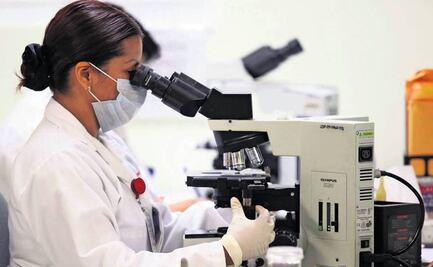 Investigadores del IMSS trabajan en células madre para restaurar el páncreas en pacientes con diabetes tipo 2