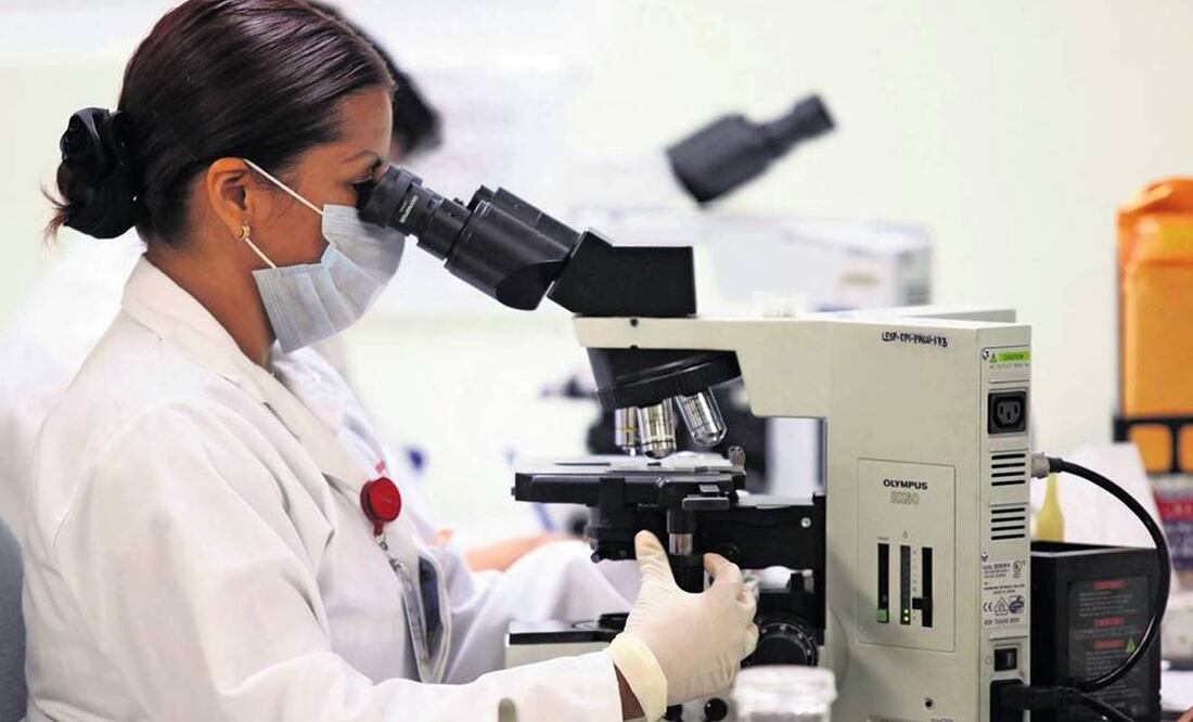 Foto: Archivo/EL UNIVERSAL