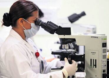 Investigadores del IMSS trabajan en células madre para restaurar el páncreas en pacientes con diabetes tipo 2