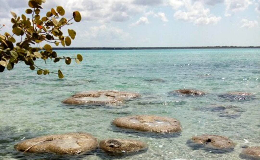 Fotos: Cortesía Alfredo Yánez, Bernardo Águila y Luisa Falcón vía DGCS