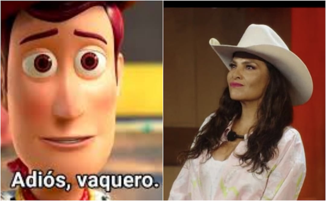 Los mejores memes que dejó la octava noche de eliminación en La Granja VIP. Foto: X