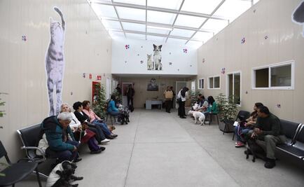 Certifican al Hospital Veterinario de la CDMX