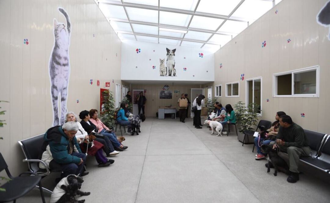 Certifican al Hospital Veterinario de la CDMX