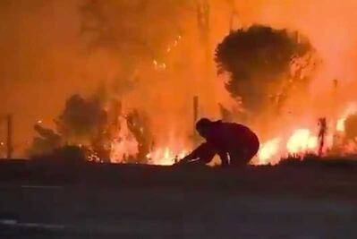 Joven arriesga su vida para salva a un conejo de incendio en California