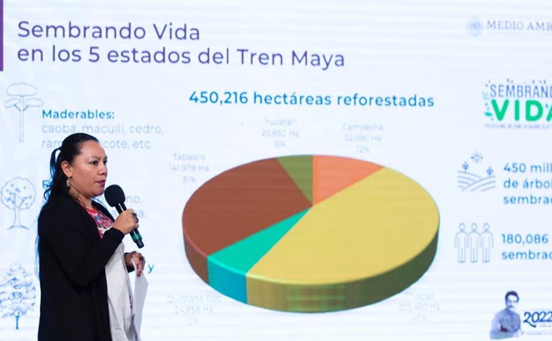 María Luisa Albores, secretaria de Medio Ambiente. Foto: Presidencia 