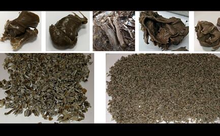 Crean producto que sustituye al plástico