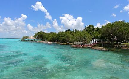 Semarnat declara 15 de julio Día Nacional de los Estromatolitos