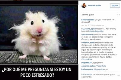 Kate bromea sobre sus niveles de estrés