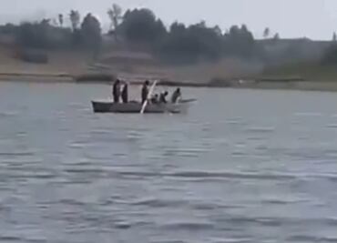 Captan en video cacería ilegal de pelícanos en presa de Almoloya de Juárez