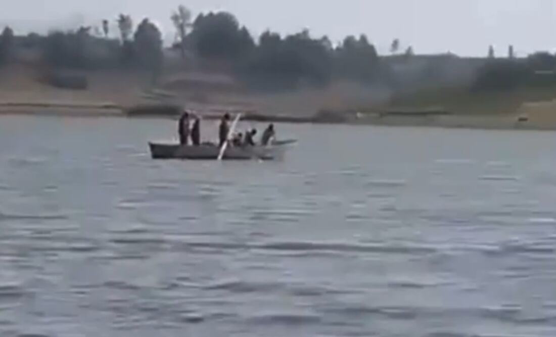 Personas observaron que varias personas se llevaron dos pelícanos. Foto: Tomada de video