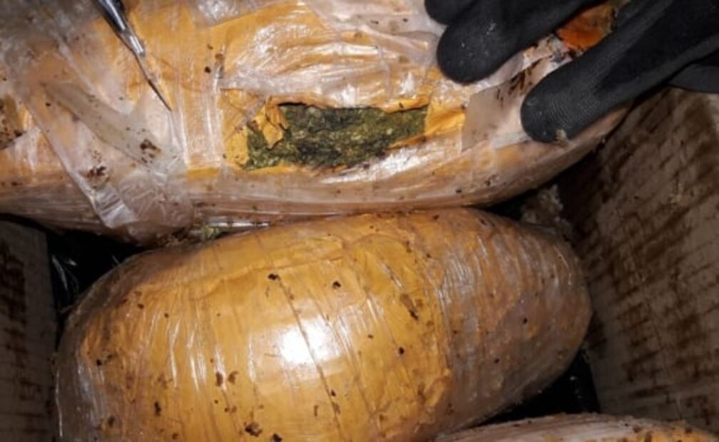 Aseguran paletas con droga en Aeropuerto de San Luis Potosí 