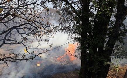 Controlan incendio en albergue para perros "Milagros Caninos"