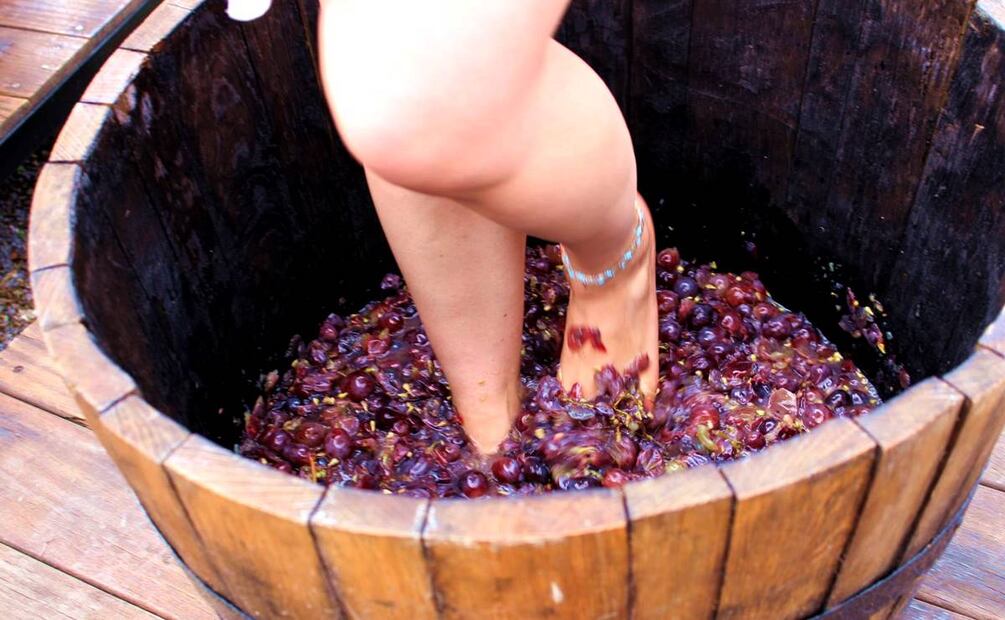 Foto: Alan Nájera / El Universal