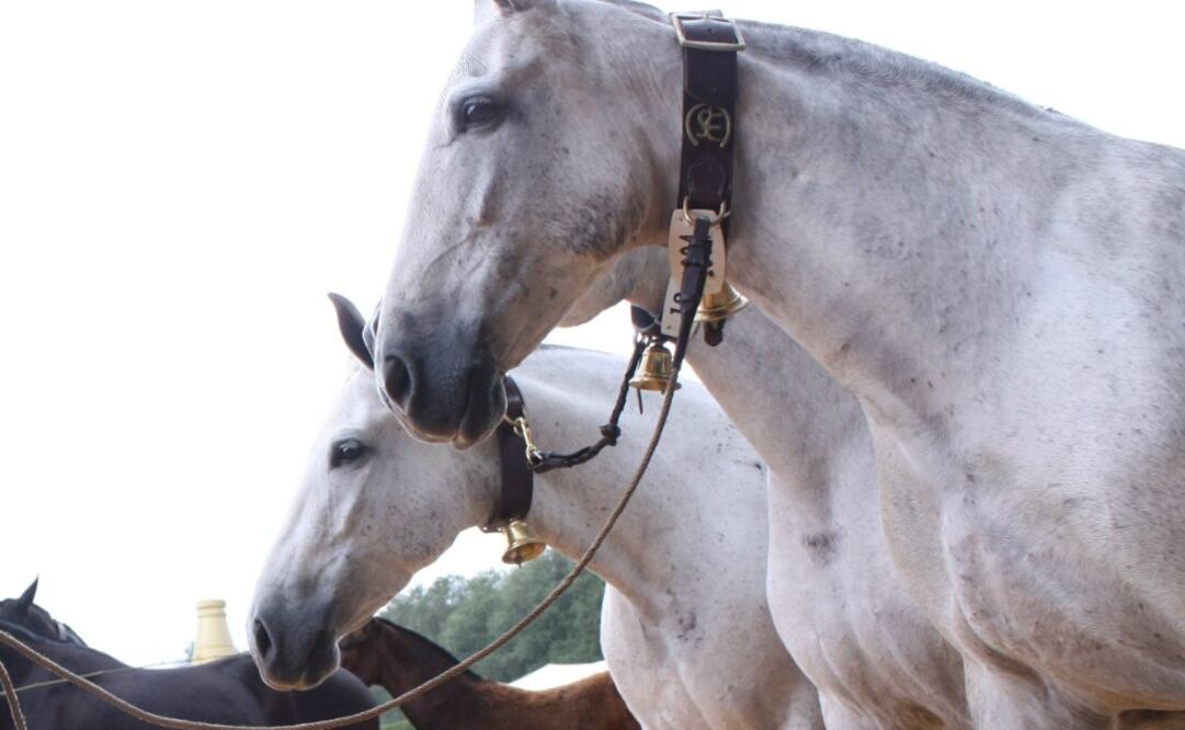 Foto. Ilustrativa. Archivo