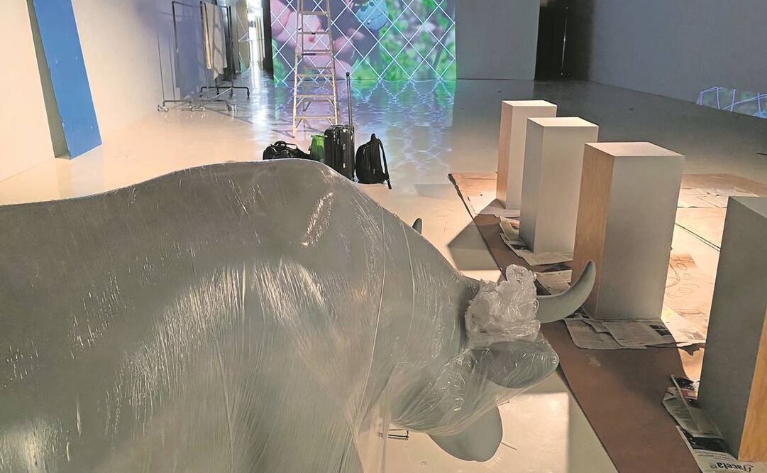 Videos, performance, cantos y diversos objetos son parte de la instalación artística. Foto: Cortesía teatro línea de sombra