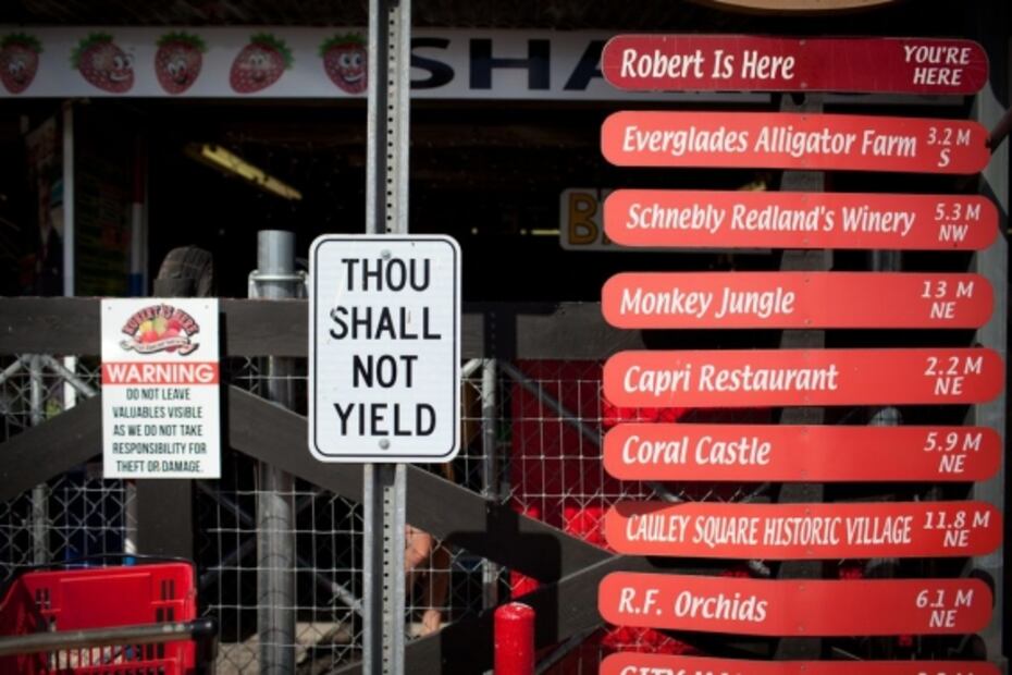 Versos en curitas de las vacunas de Covid-19, propuesta de festival de poesía