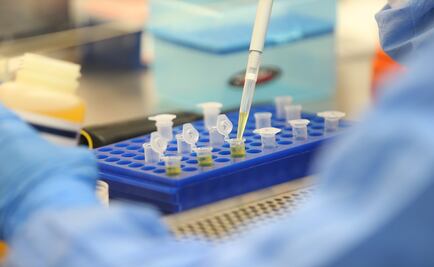 Zika aumenta casos del síndrome que causa parálisis: estudio