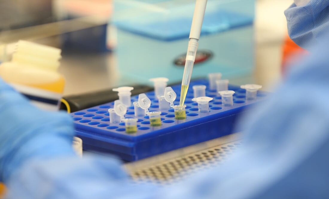 Foto: Archivo/ Xinhua