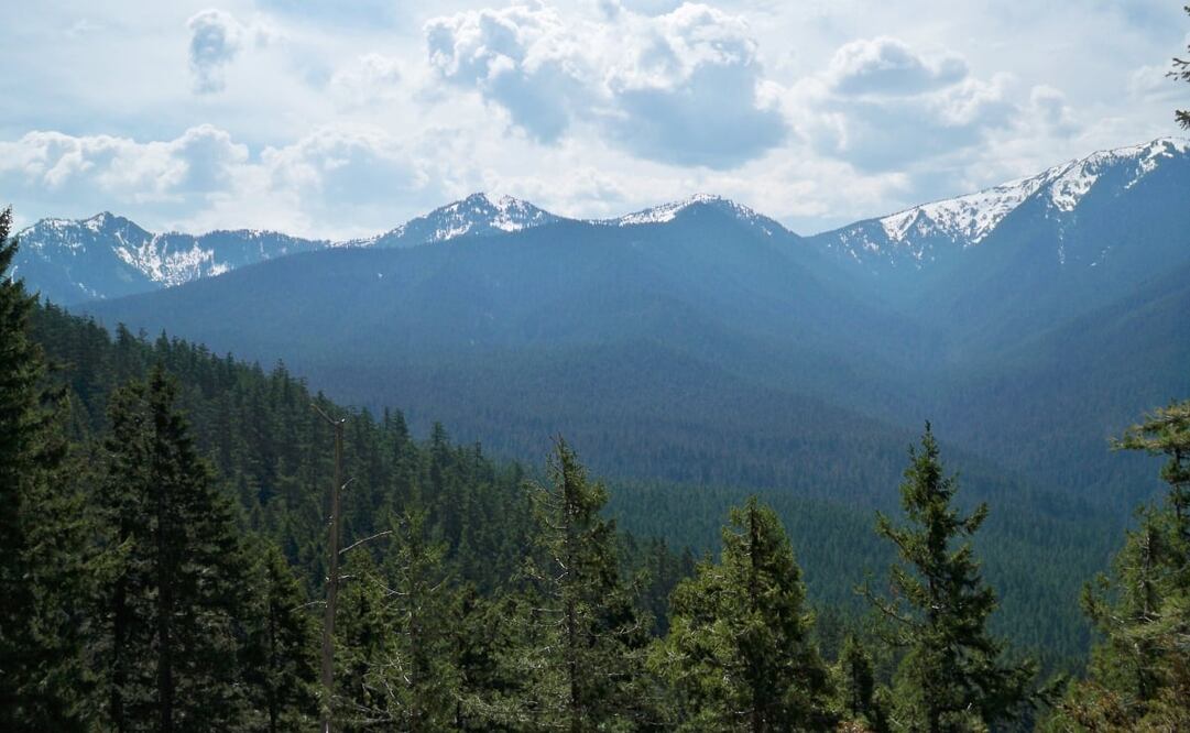 Parque Nacional Cumbres Ajusco, en la Ciudad de México. Foto: Wikimedia Commons. Ricraider
