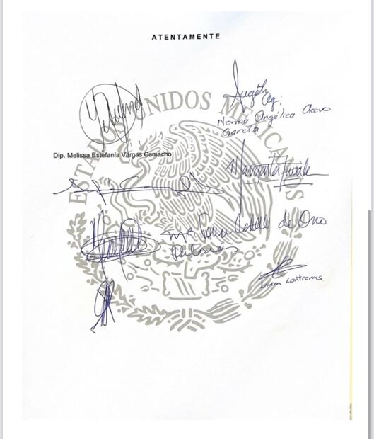 Legisladores de Va por México denuncian a Morena ante la ONU por campaña de "traidores a la patria"