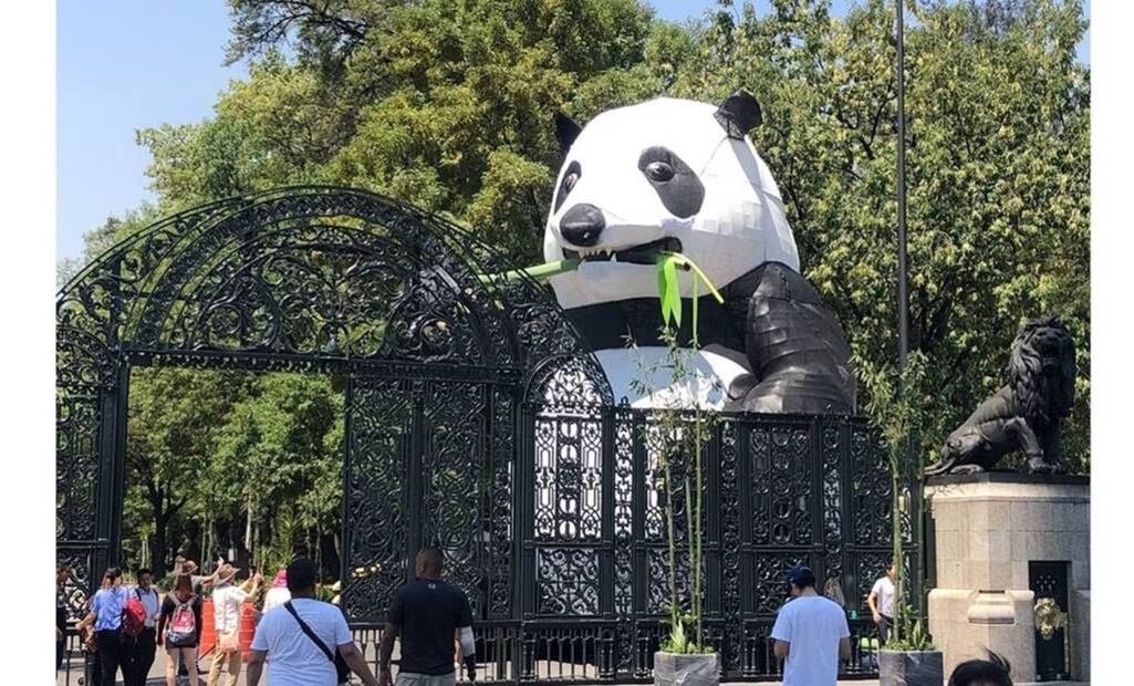 Foto: Isidro Corro/EL UNIVERSAL