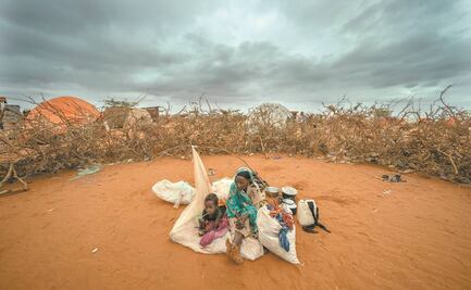 El mundo se dirige a un futuro sombrío: estudio