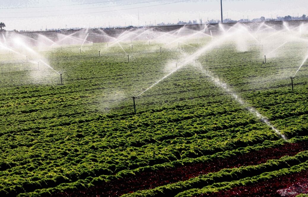 El precio del agua en el mercado bursátil corresponde a su valor en California, la mayor plaza agrícola en la Unión Americana. Foto: Sandy Huffaker / AFP