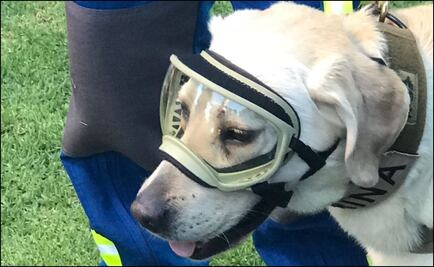 Frida, presente en el duelo de México