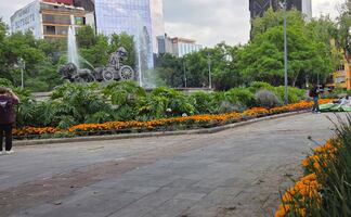 Mundial 2026: Flores de cempasúchil llegan también a la Fuente de Cibeles;  llaman la atención de turistas y locales 